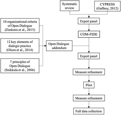 The community mental health team fidelity scale: A measure of program fidelity of social networks interventions for severe mental illness